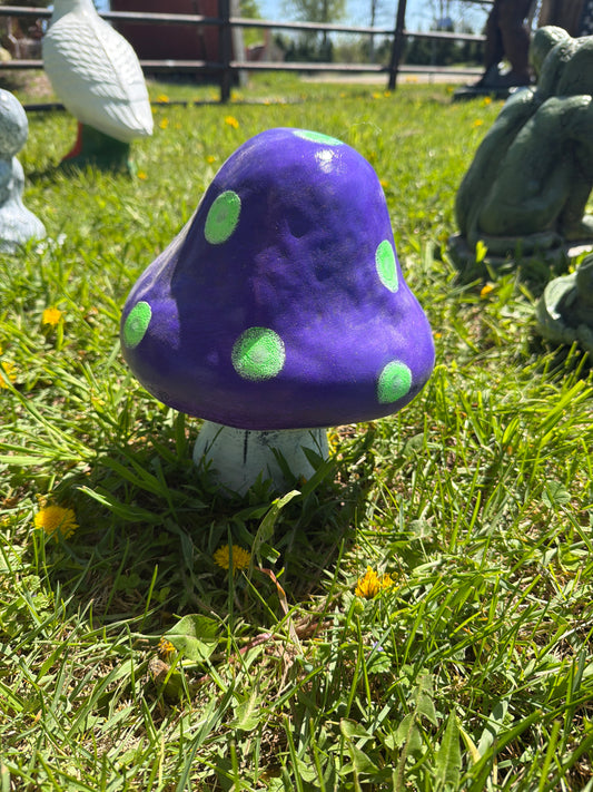 Short fat mushroom
