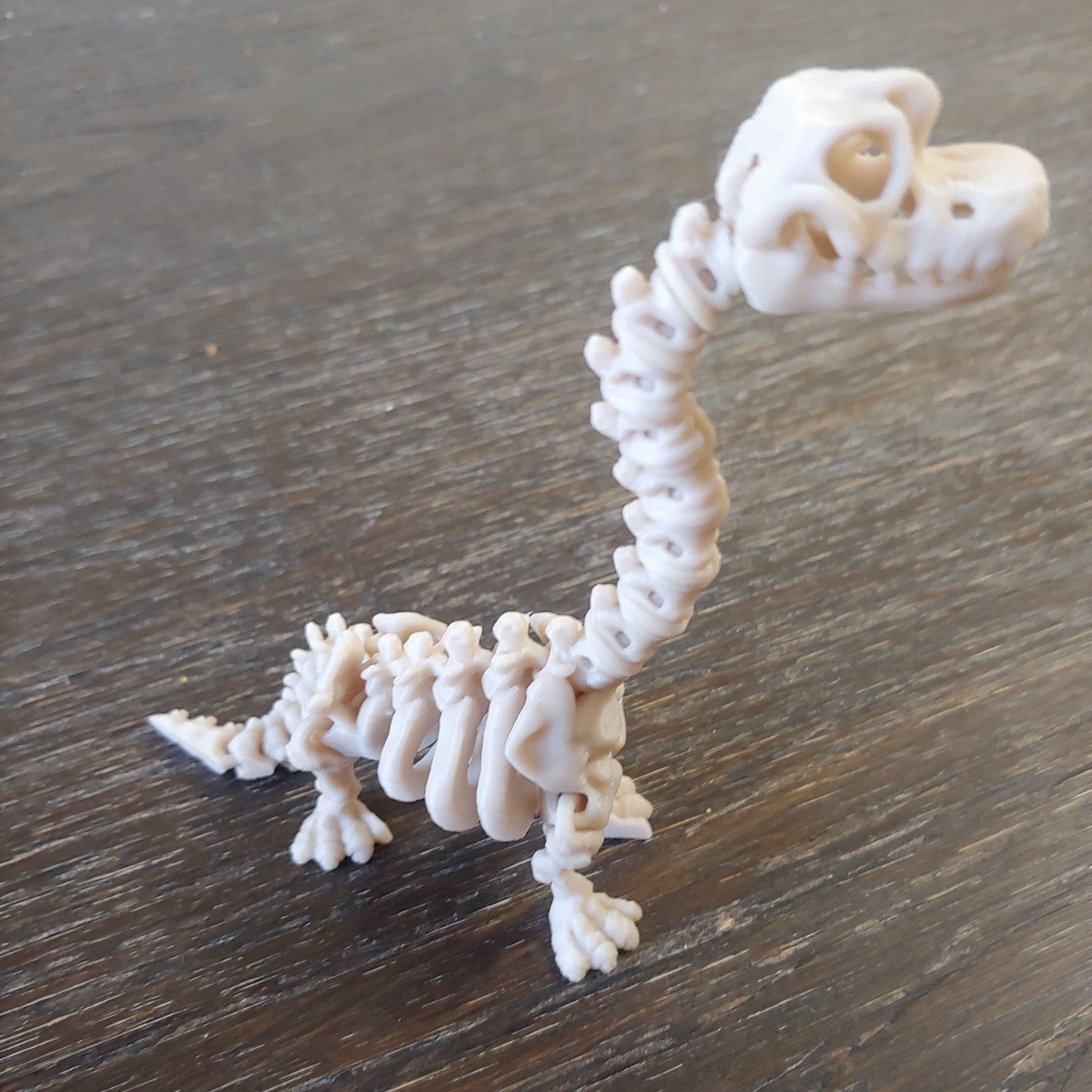 Model of a dinosaur skeleton on a wooden surface