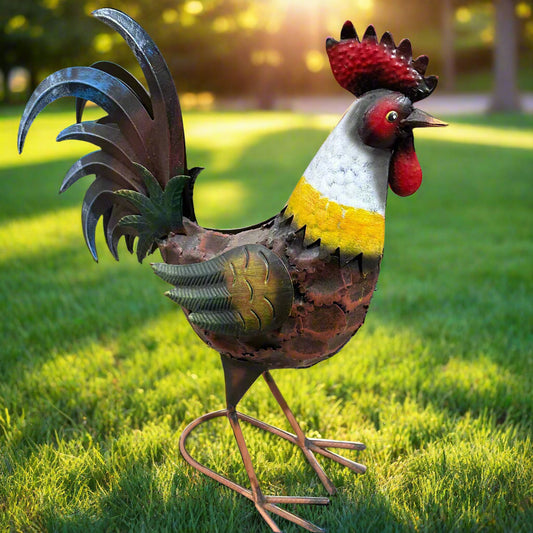 Long Leg Rooster