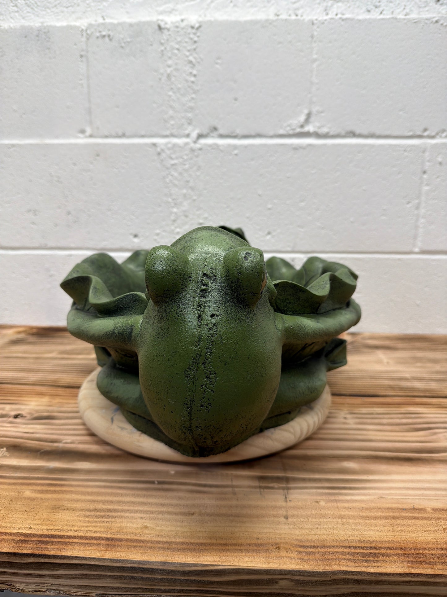 Double Frog Bowl