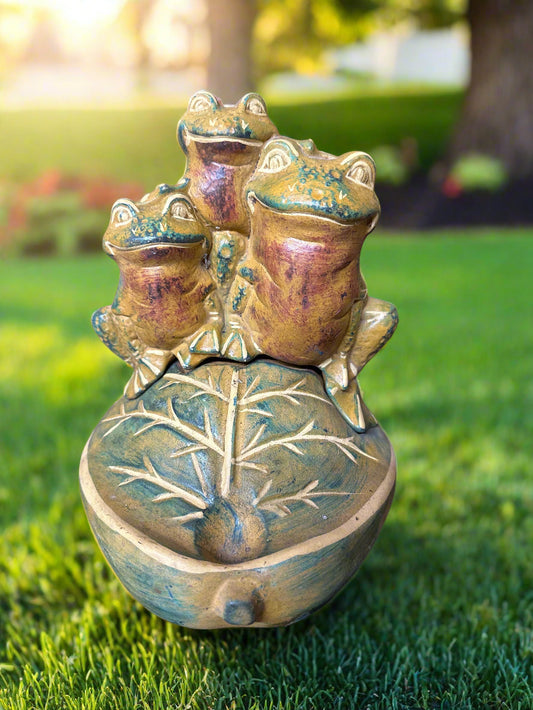 Frogs on a Leaf