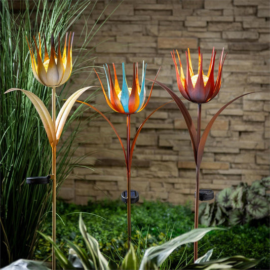 Solar Aster Flower product image