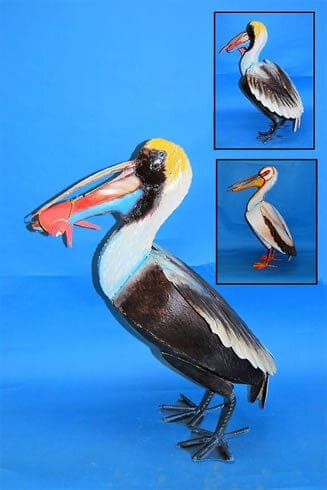 Haitian Pelican with Fish