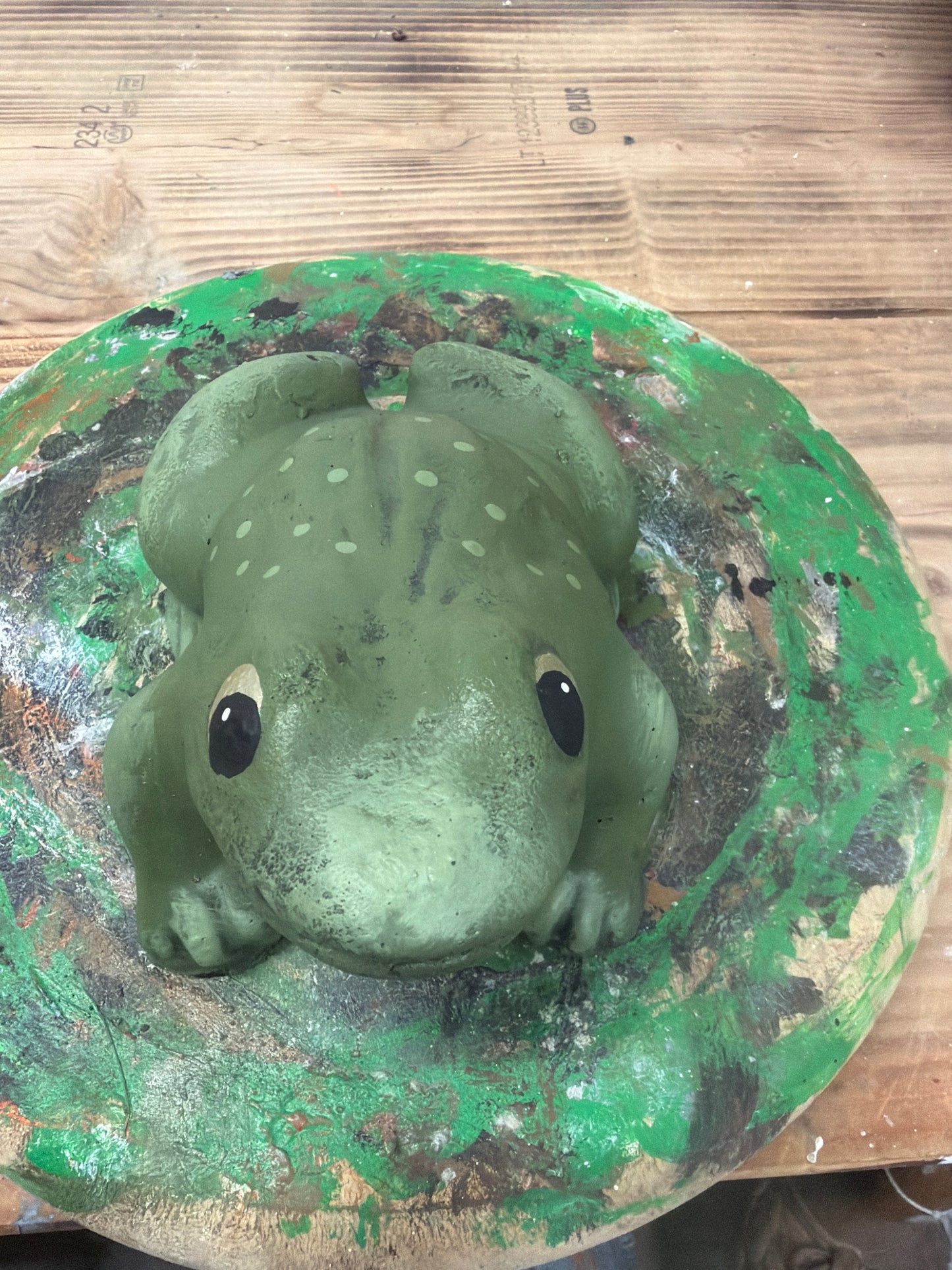 Primitive Frog