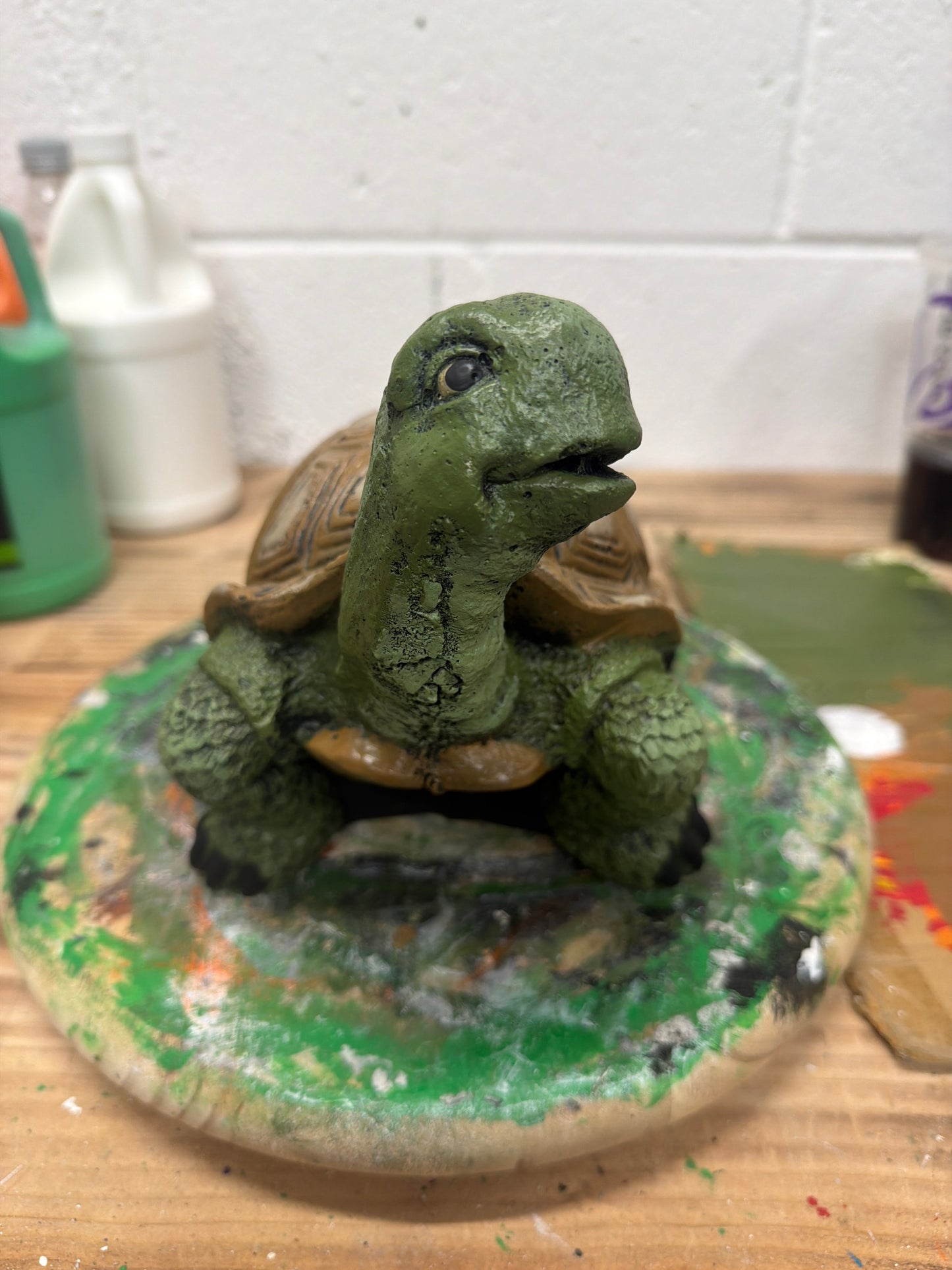 Smiling Turtle