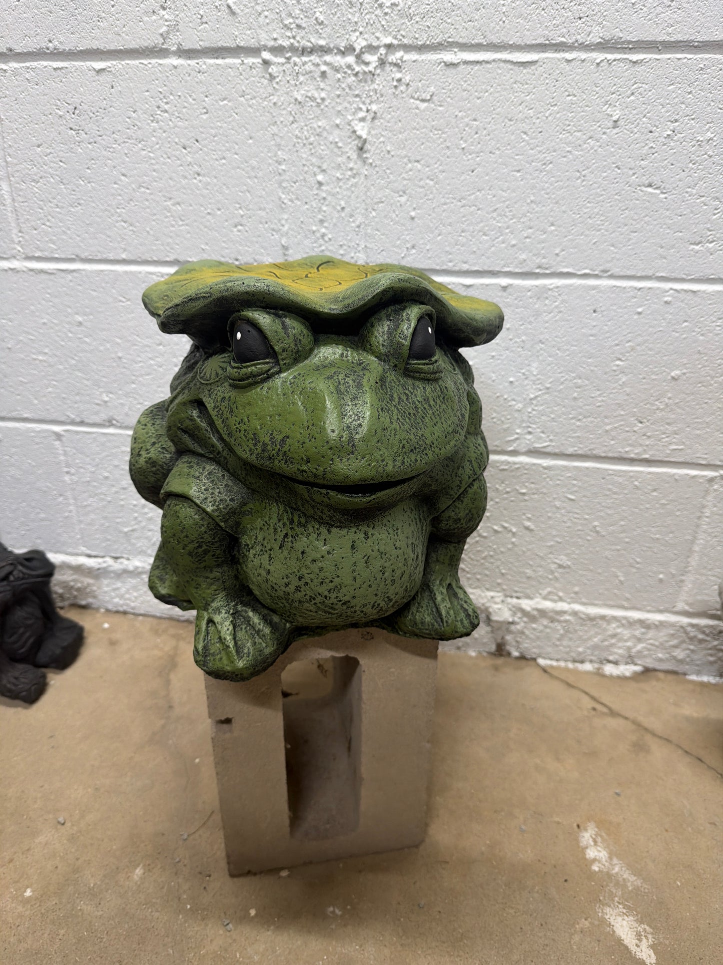 Large Frog with Lily