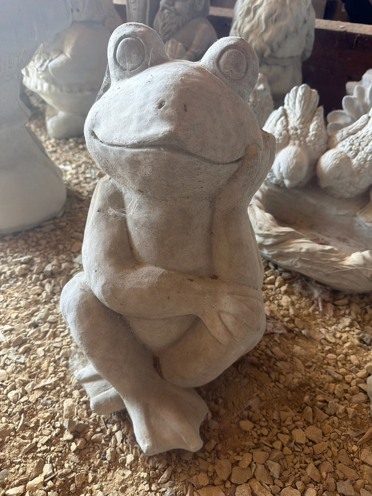 Large Smooth Frog