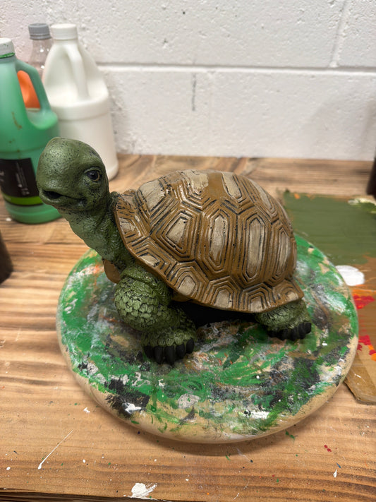 Smiling Turtle