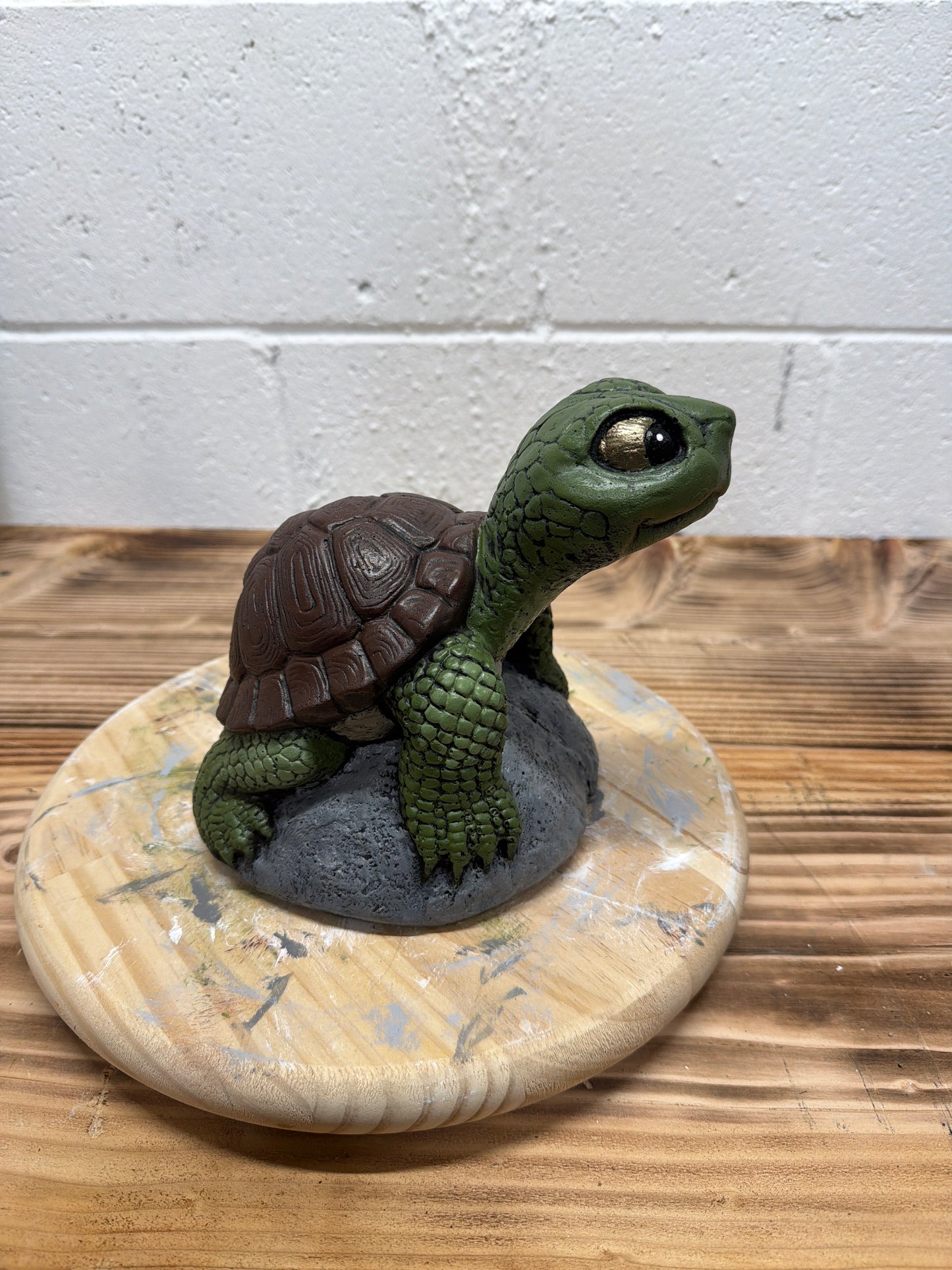 Baby Turtle on Rock