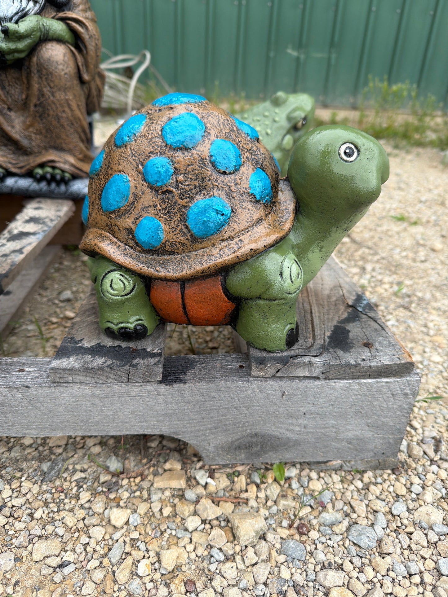 Bumpy Turtle