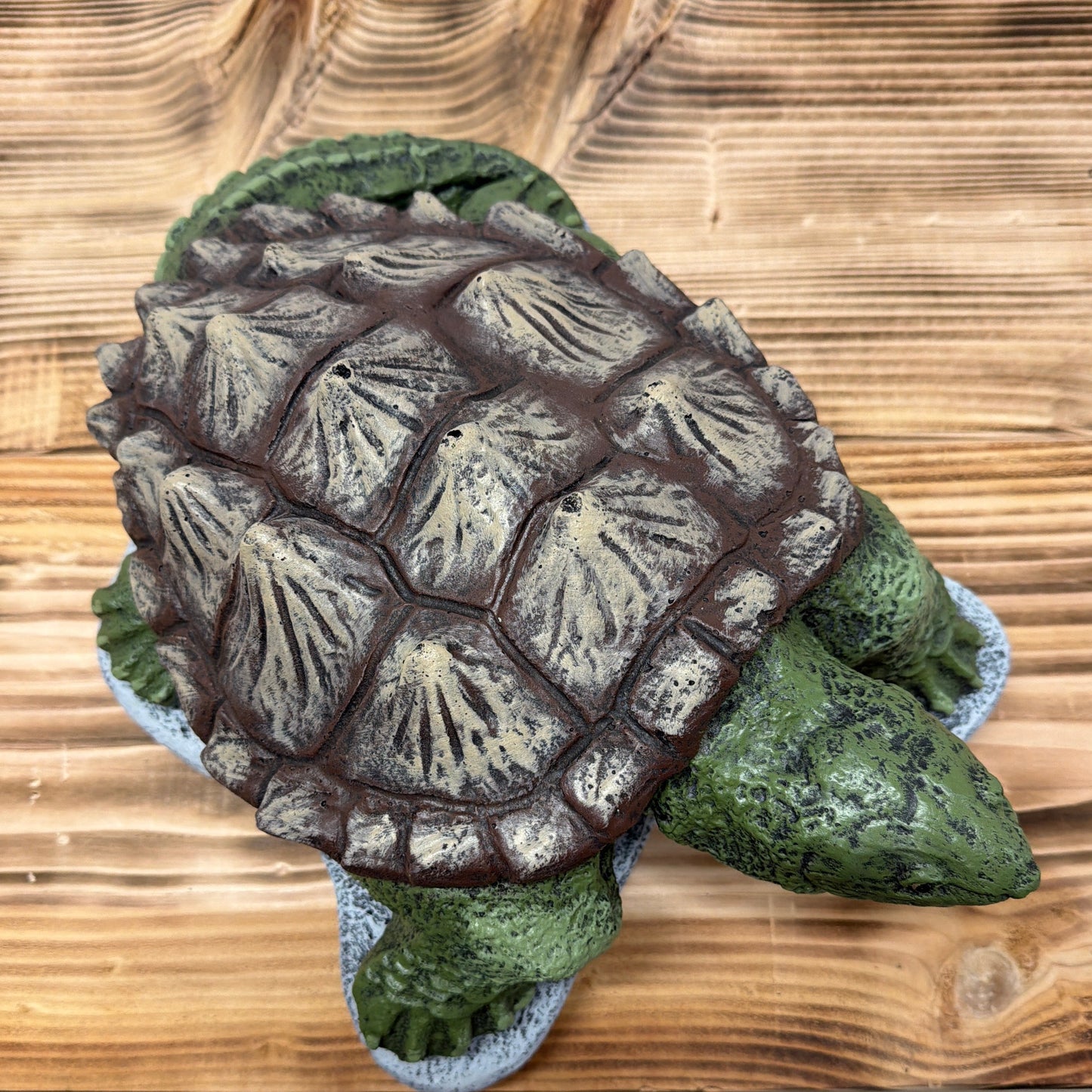 Snapper