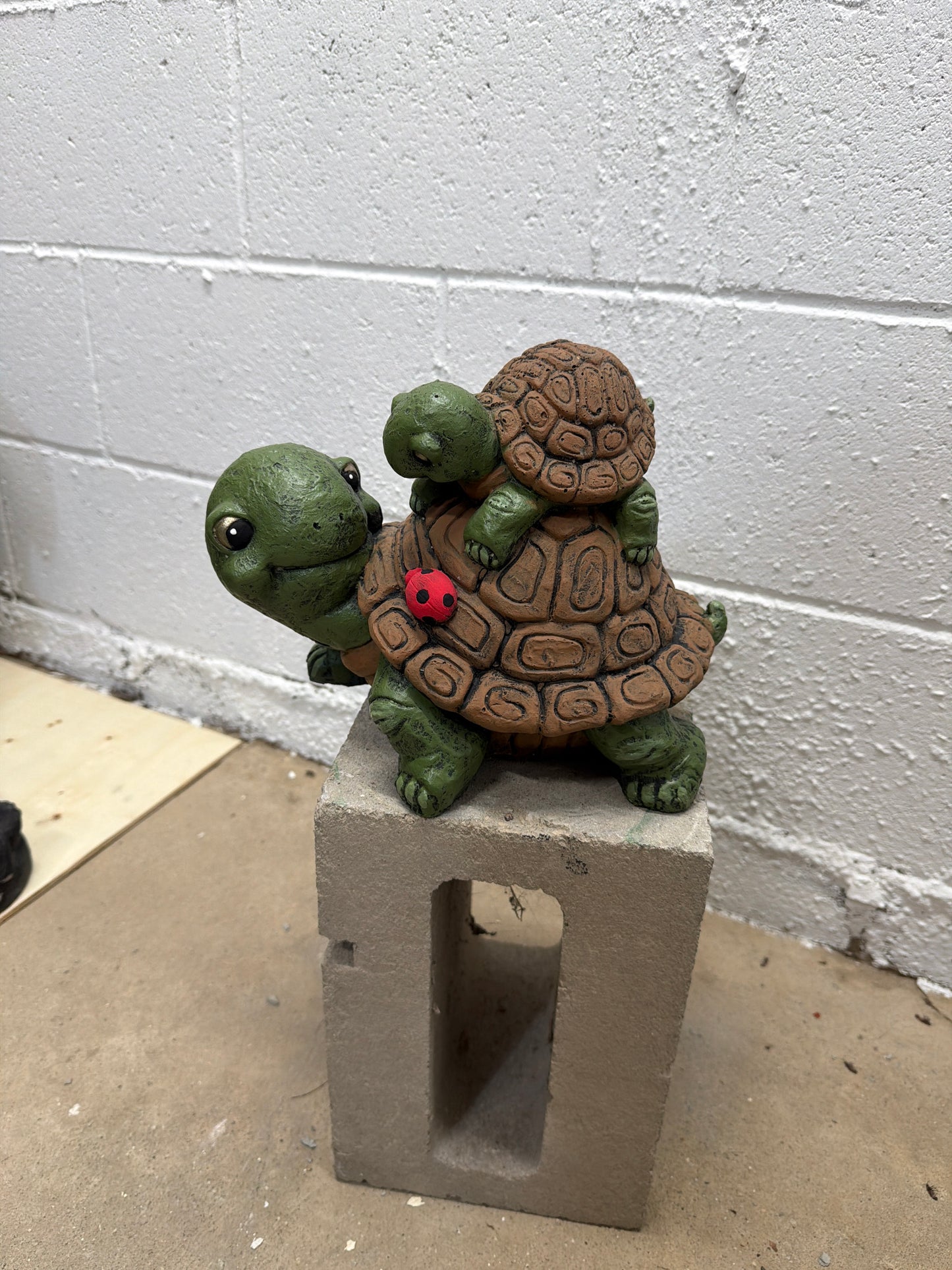 Turtle with Baby