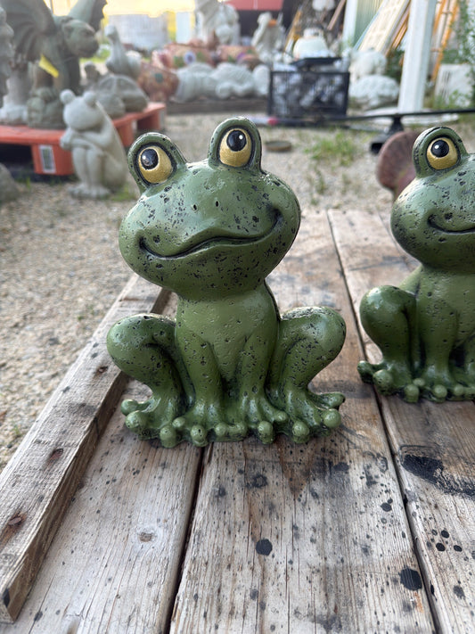 Dressed Frog