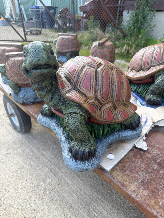 Large Hump Back Turtle