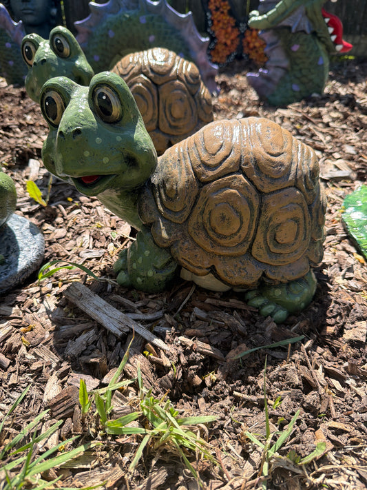 Lumpy turtle