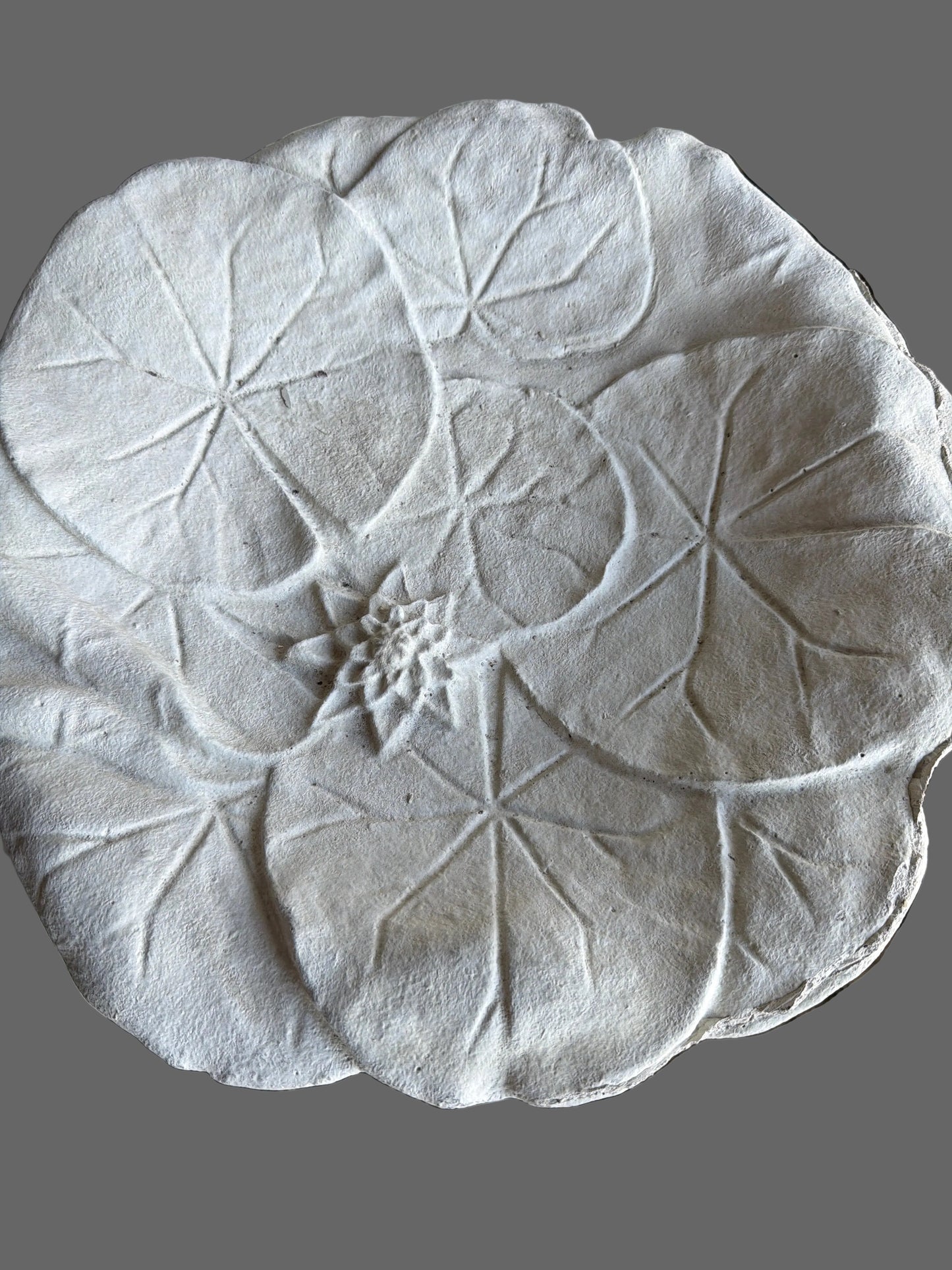 Lilypad Birdbath