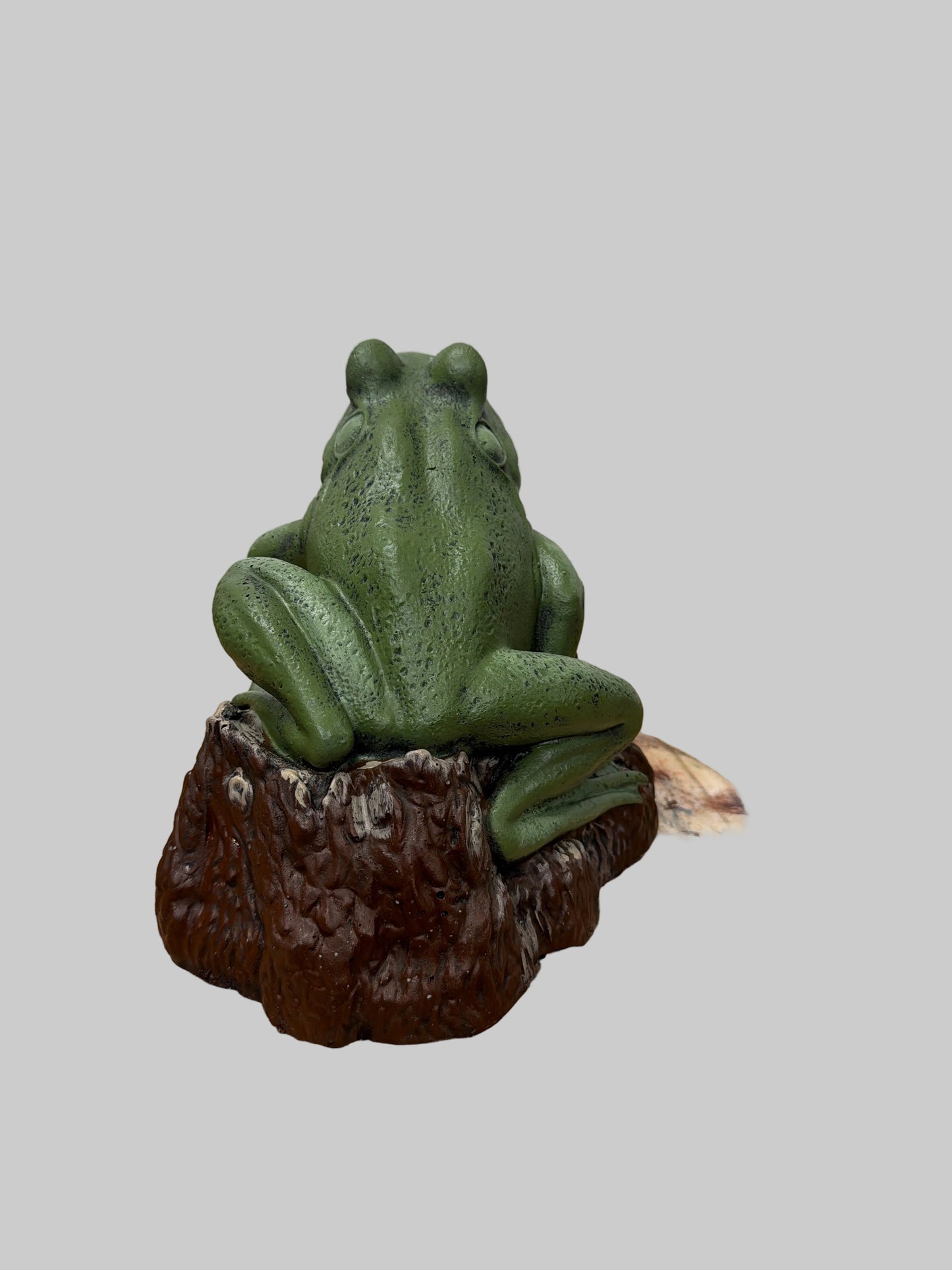 Frog Tongue Out