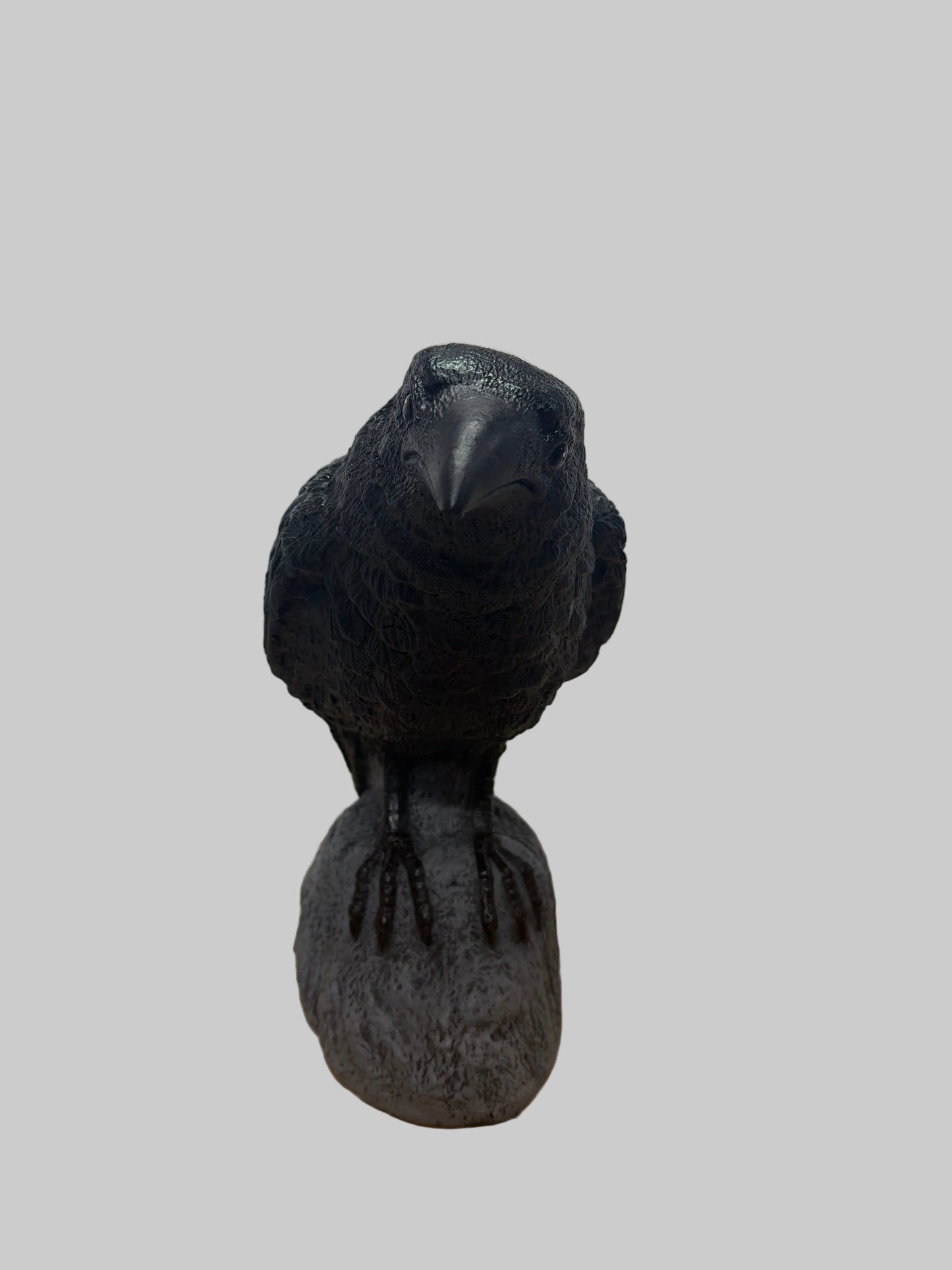 Raven