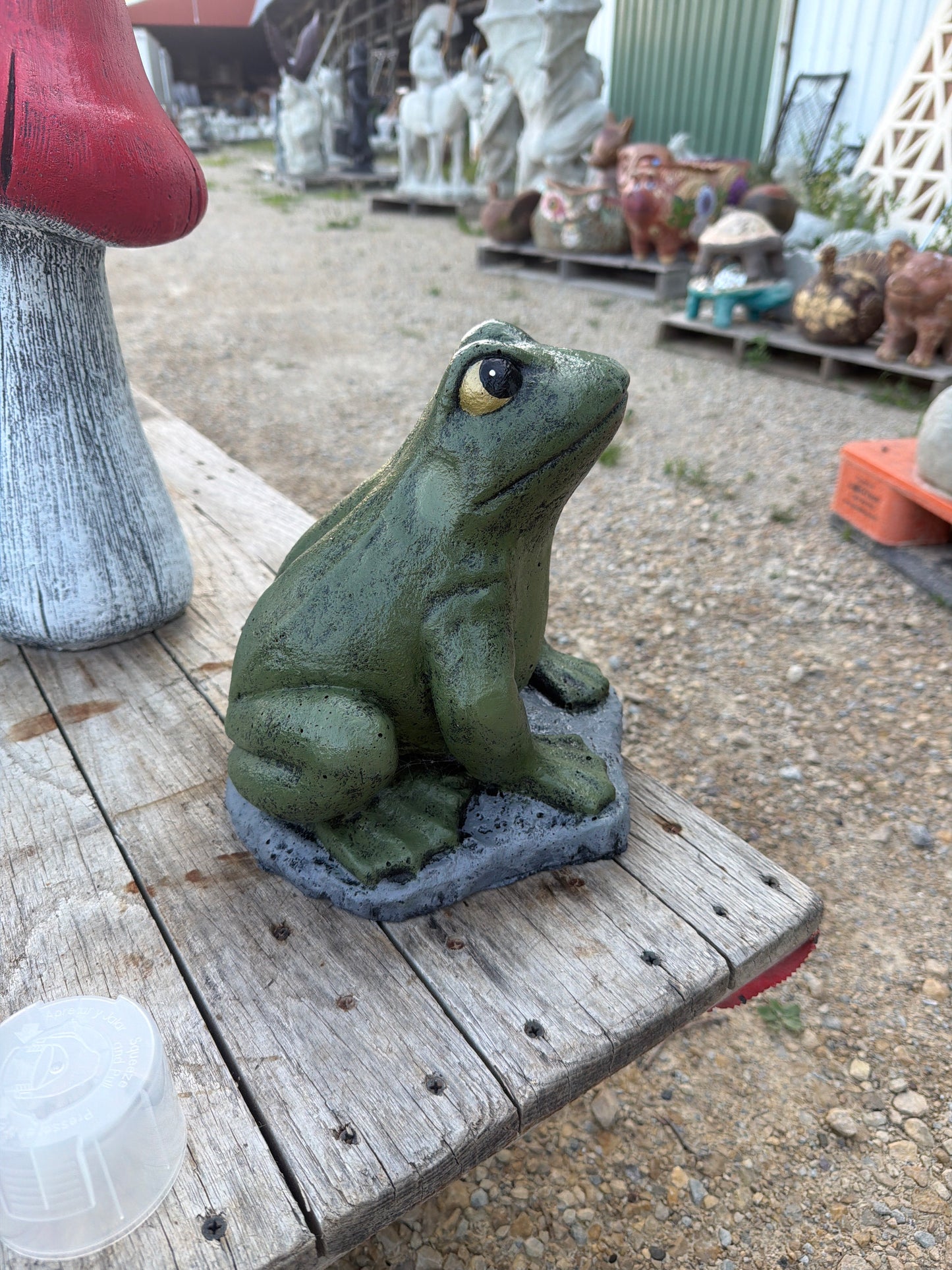 Fontana Frog