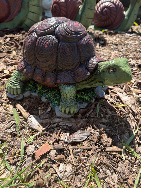 Turtle on rocks and grass