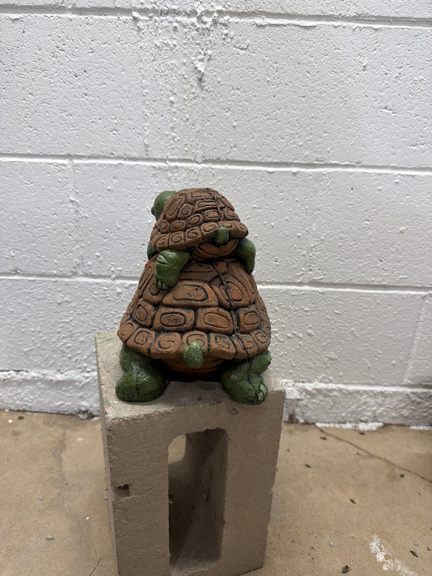 Turtle with Baby
