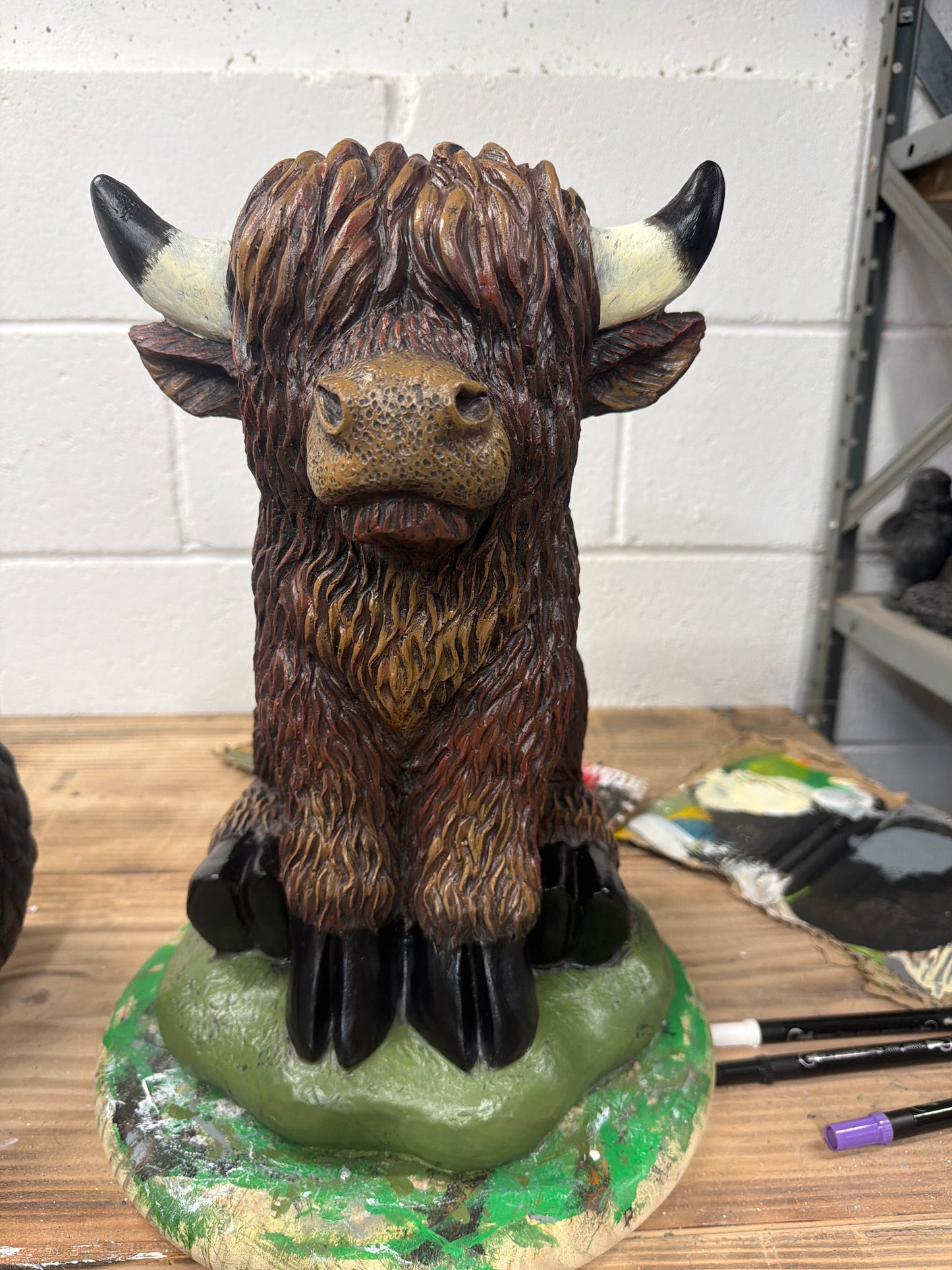 Highland Cow