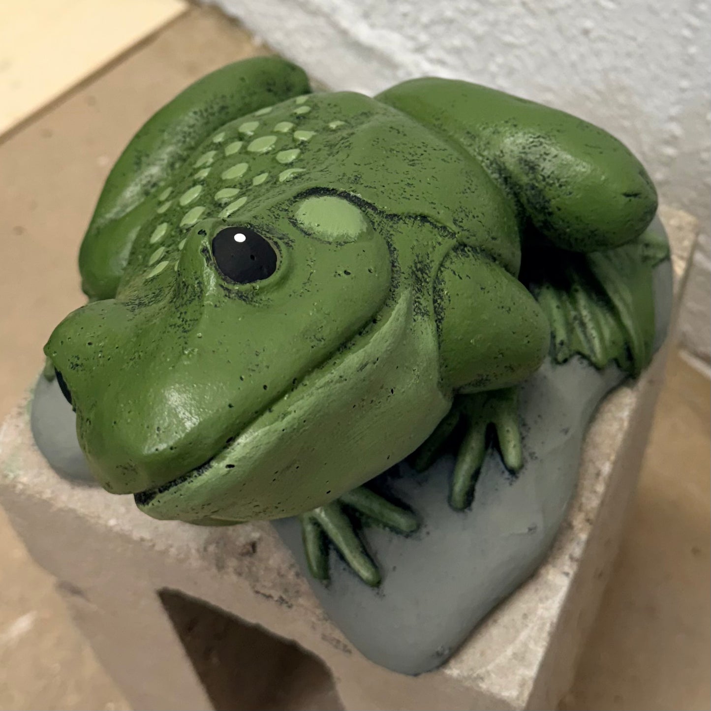 Frog Head Turn