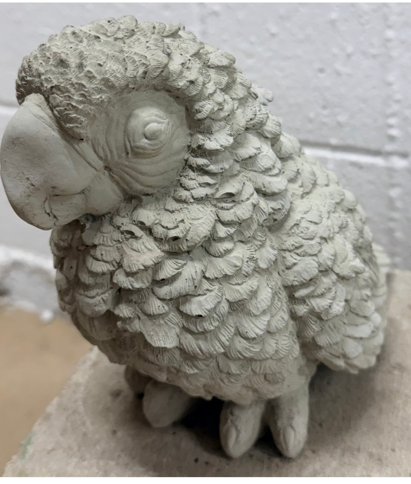 Parrot