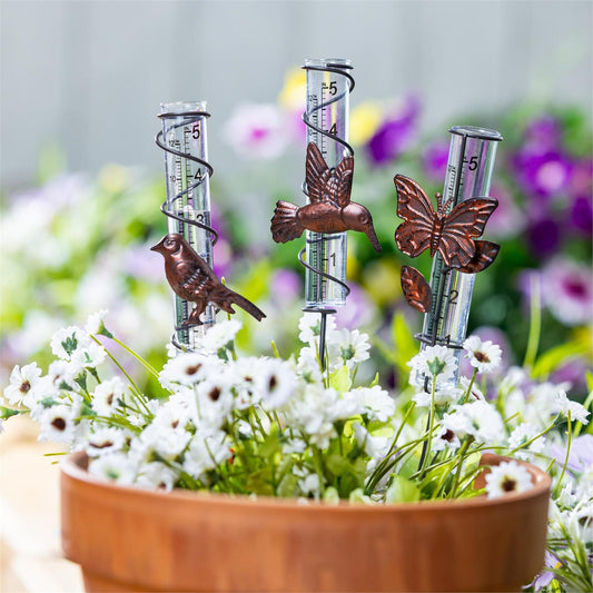 Rain Gauge Planter Pick