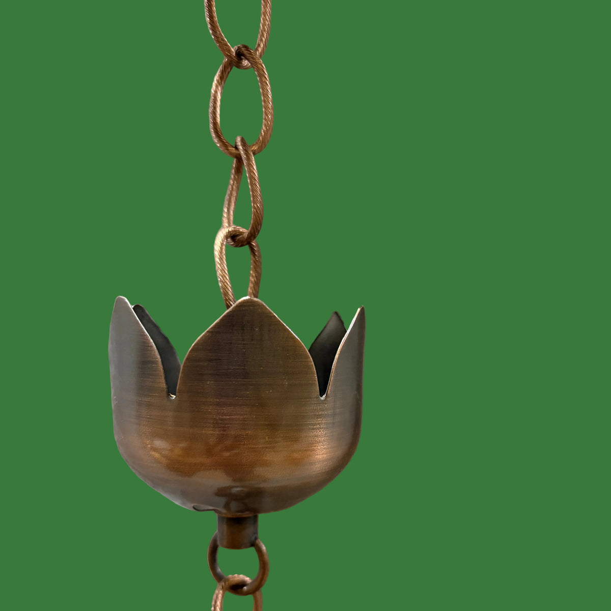 Tulip Rain Chain