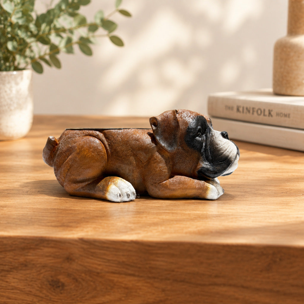 Boxer With Stainless Water Bowl