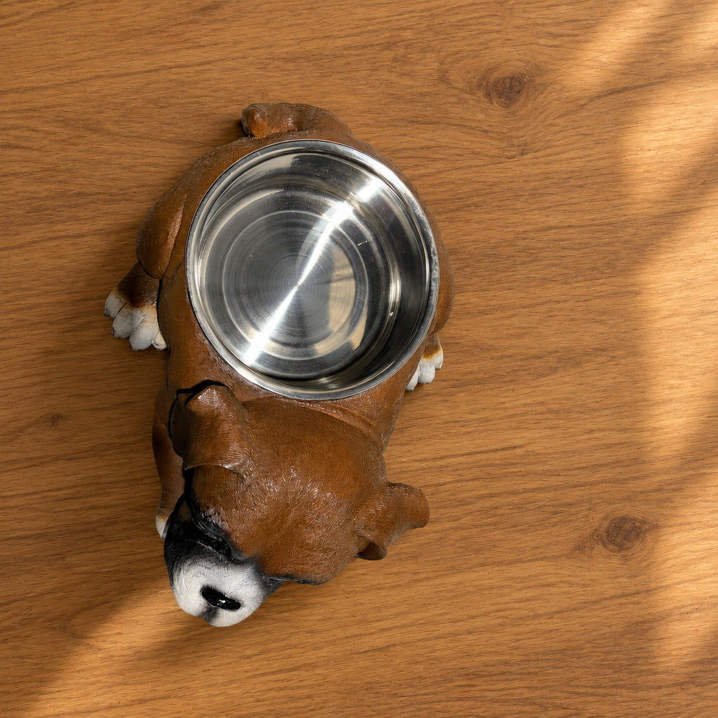 Boxer With Stainless Water Bowl