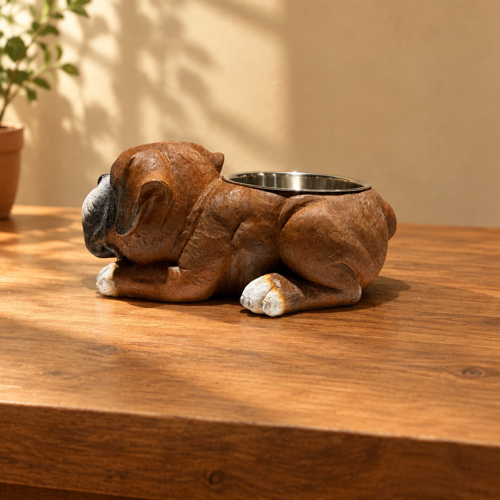 Boxer With Stainless Water Bowl