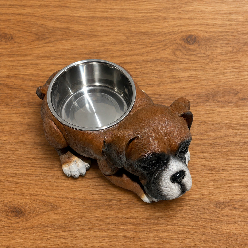 Boxer With Stainless Water Bowl