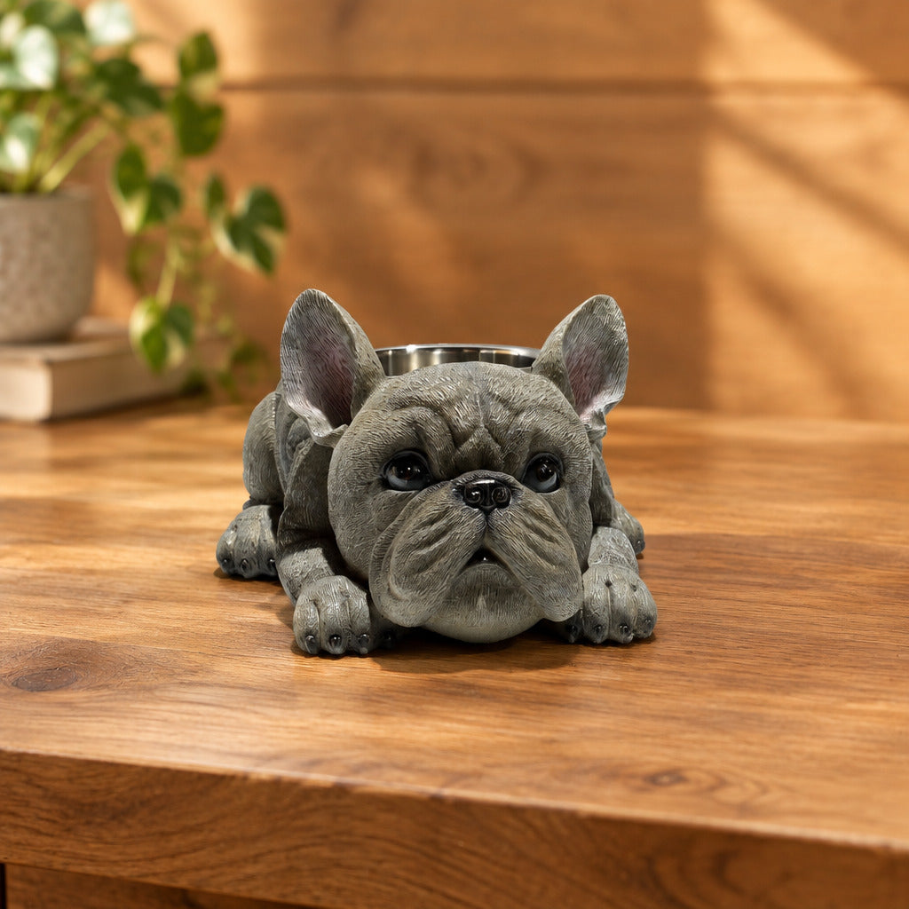 French Bulldog With Stainless Water Bowl Grey