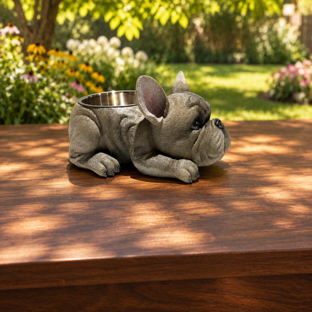 French Bulldog With Stainless Water Bowl Grey