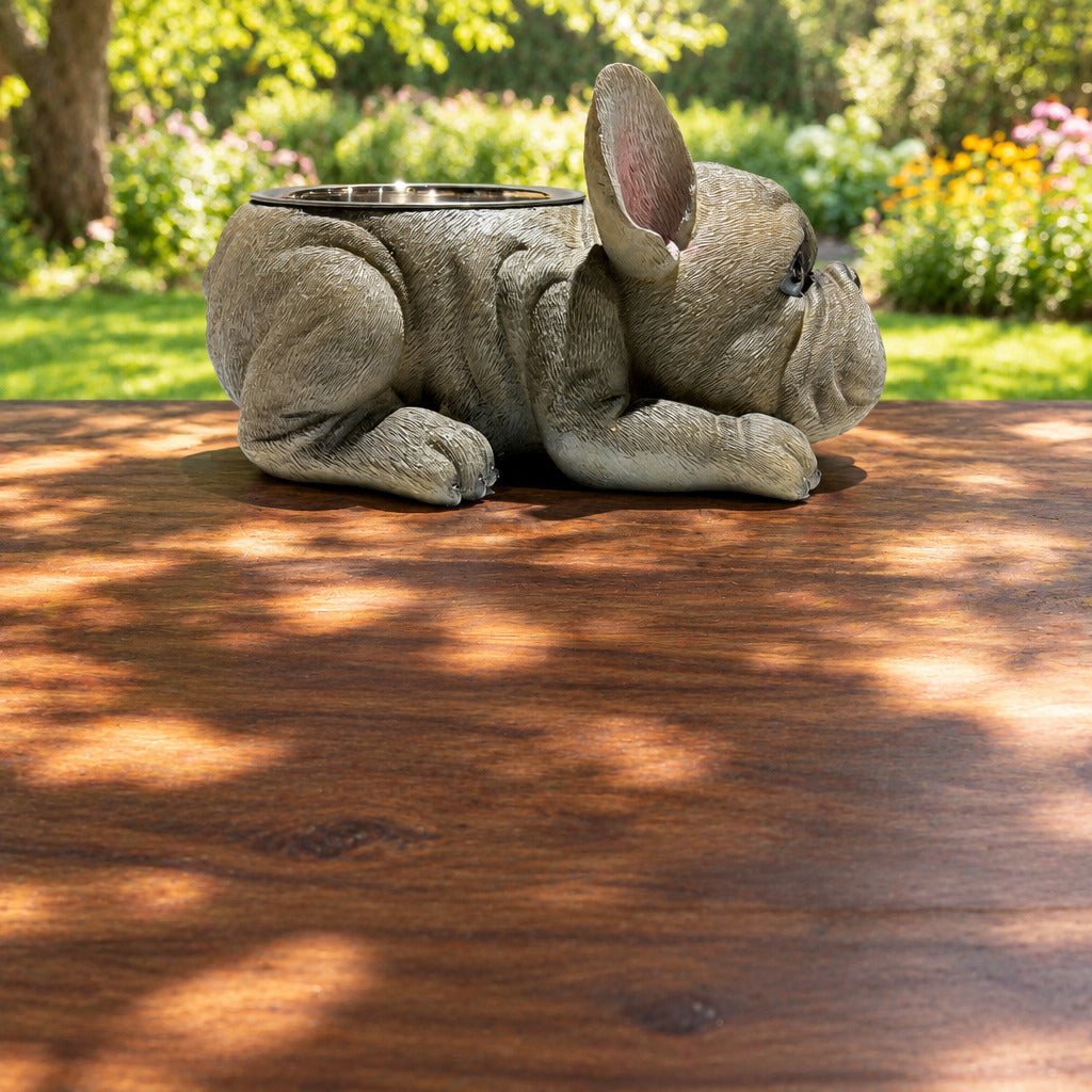 French Bulldog With Stainless Water Bowl Grey