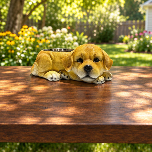 Lab Puppy With Stainless Water Bowl