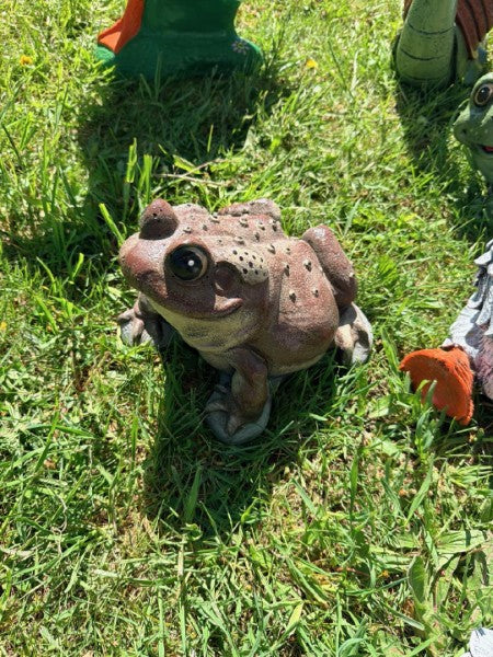 Big Fat Toad