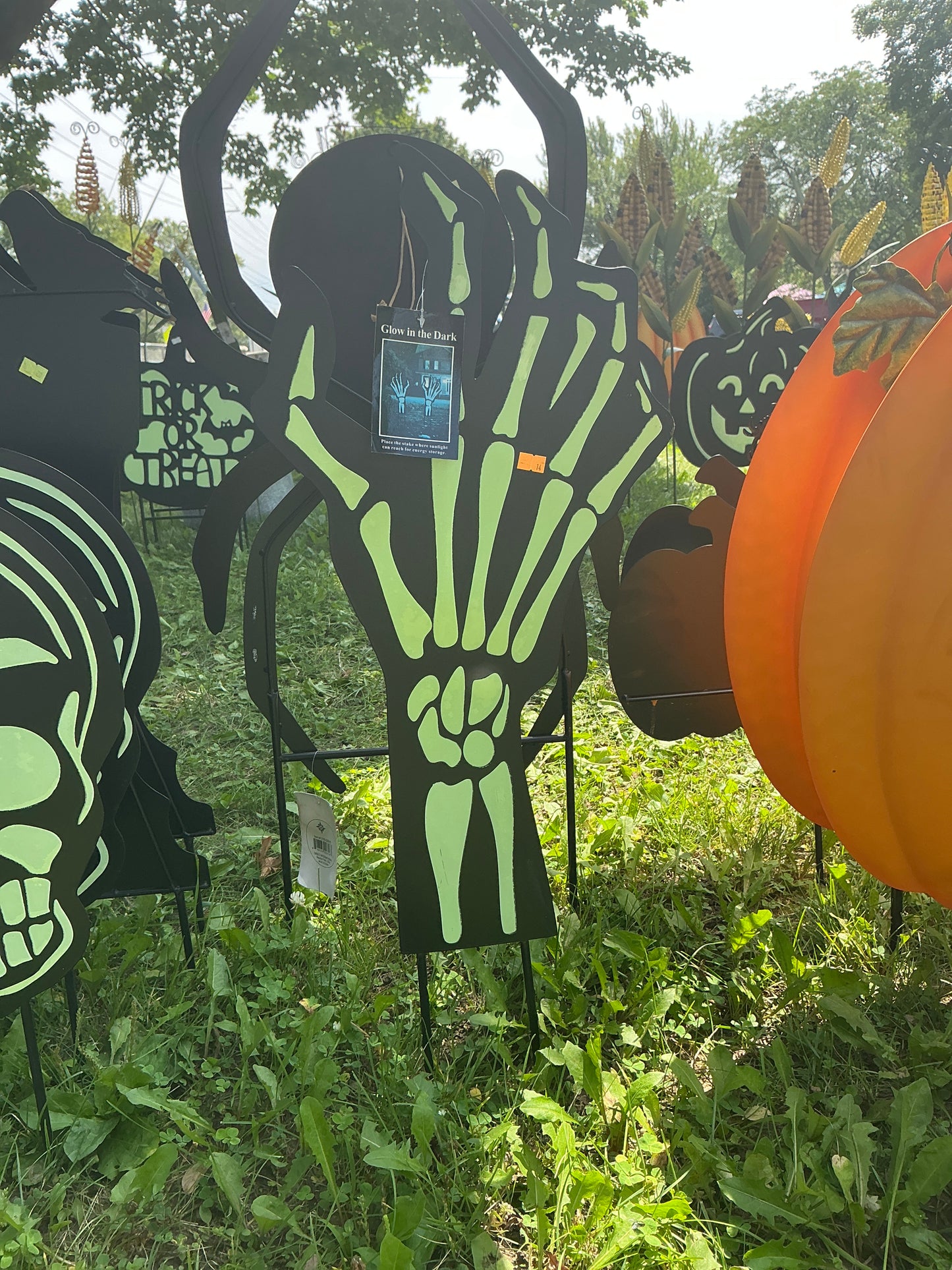 Glow In The Dark Skeleton Pieces