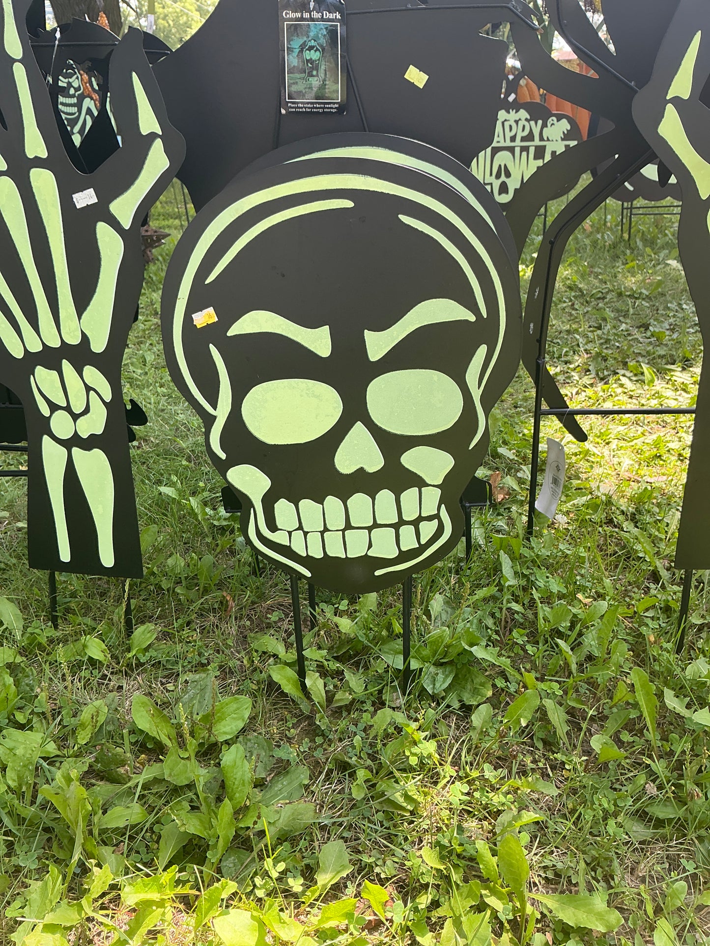 Glow In The Dark Skeleton Pieces