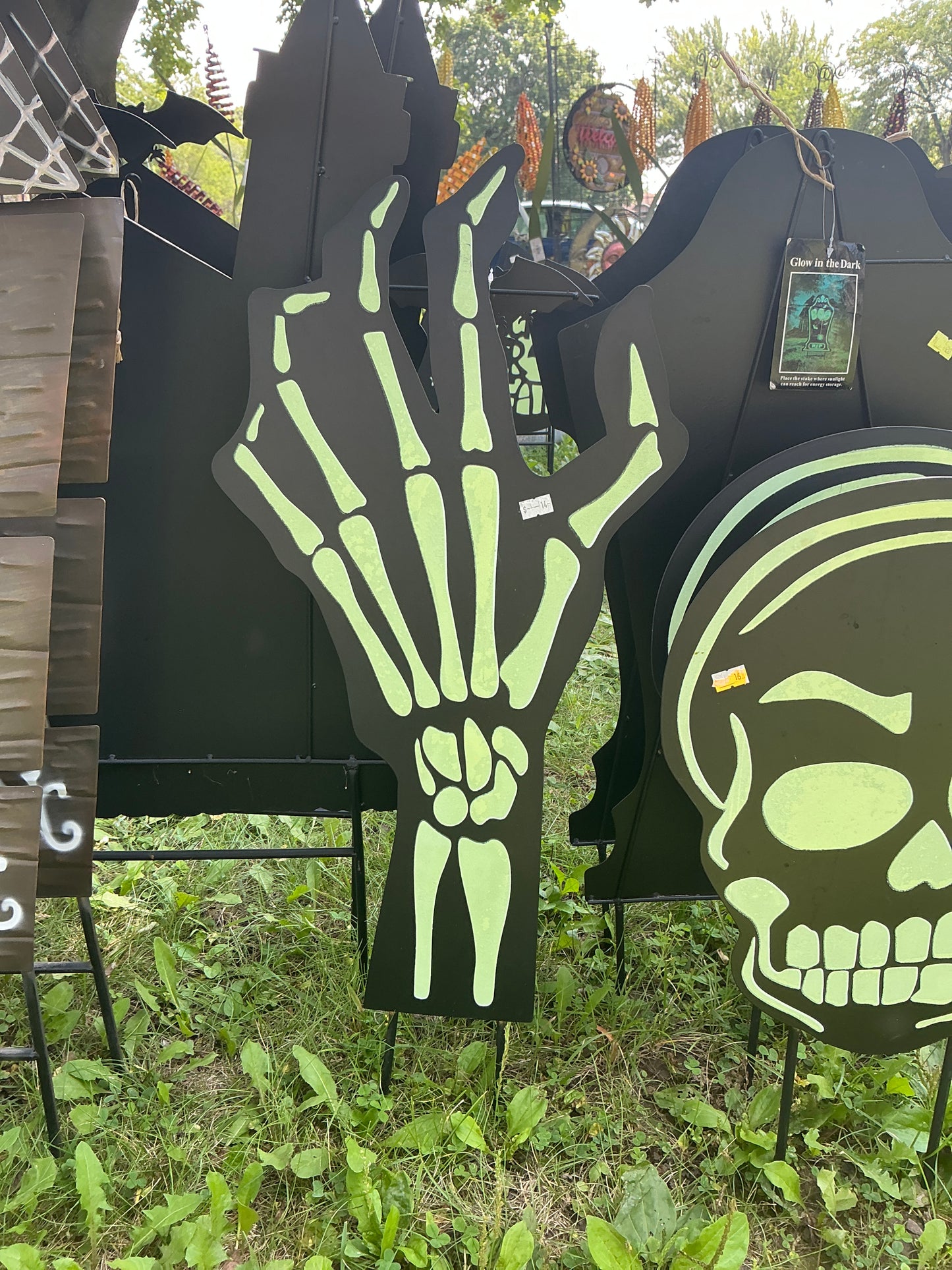 Glow In The Dark Skeleton Pieces