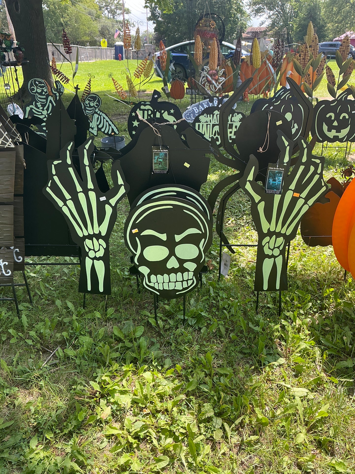 Glow In The Dark Skeleton Pieces