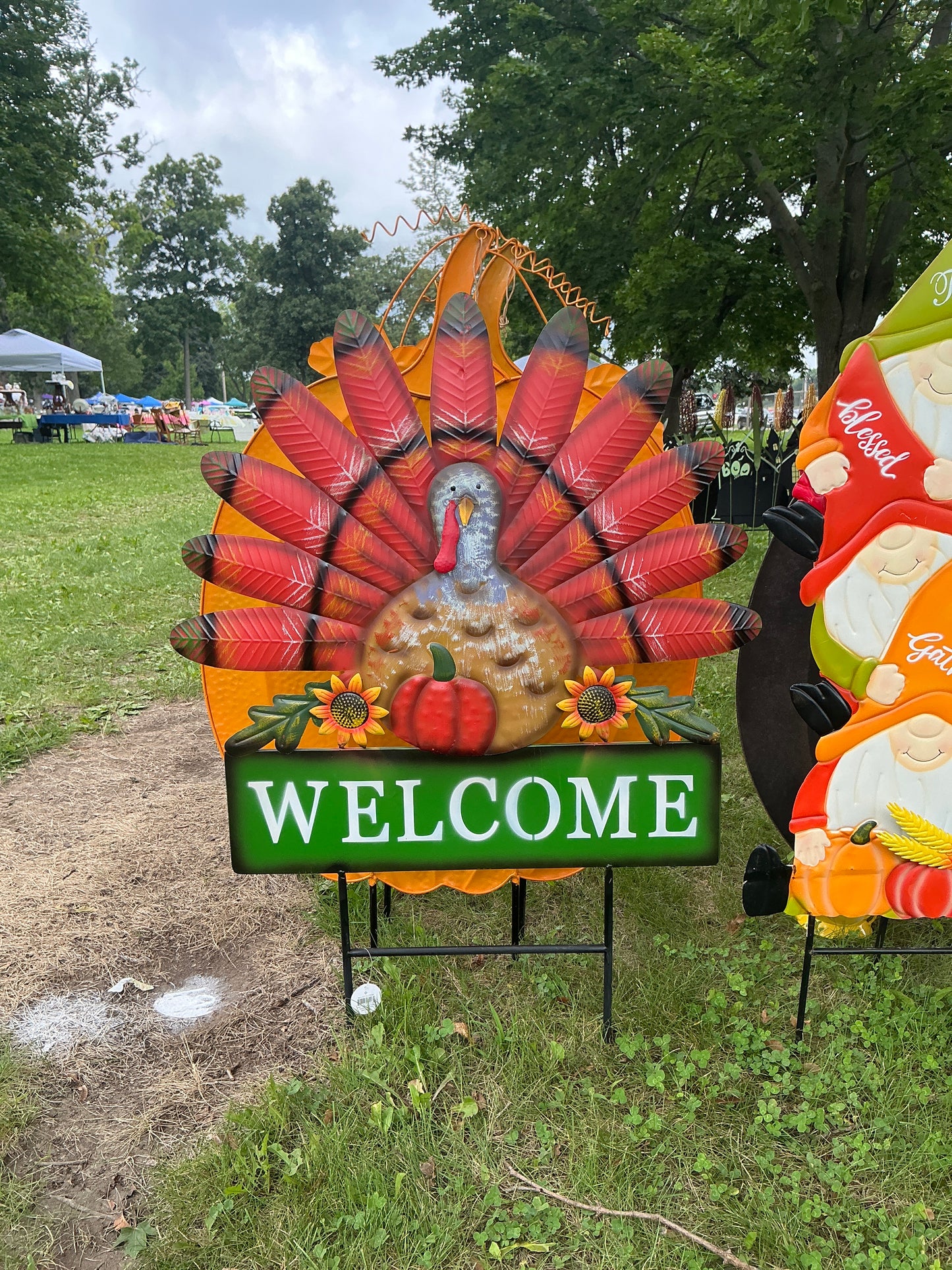 Welcome Turkey With Pumpkin