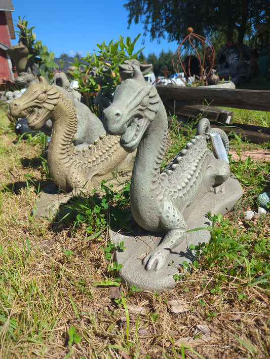 Small Dragon