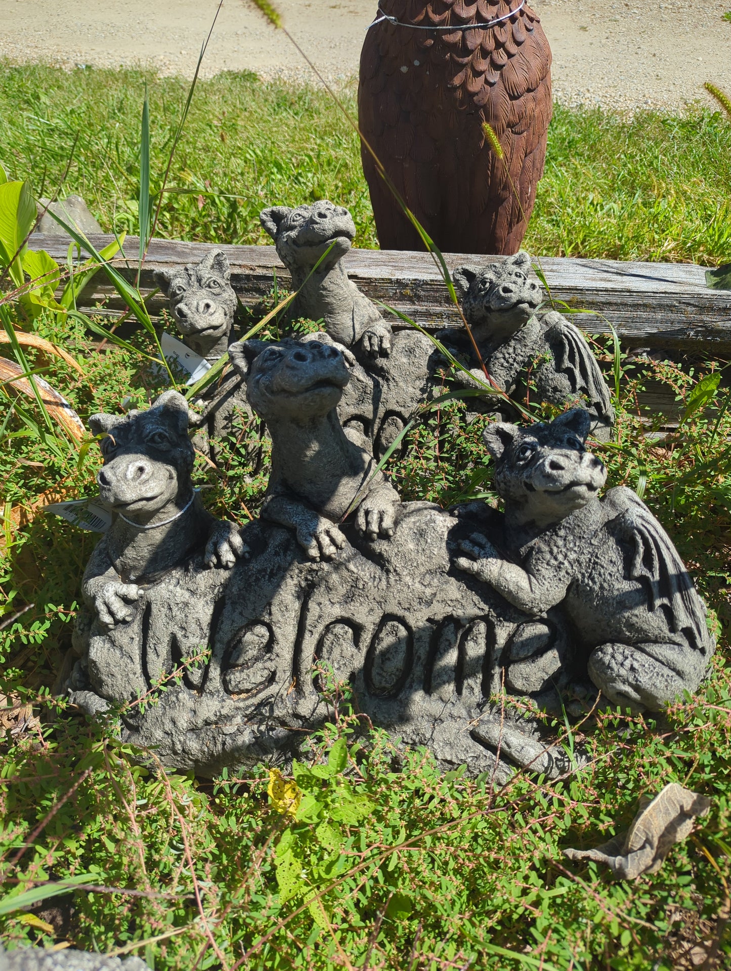 Welcome Dragons