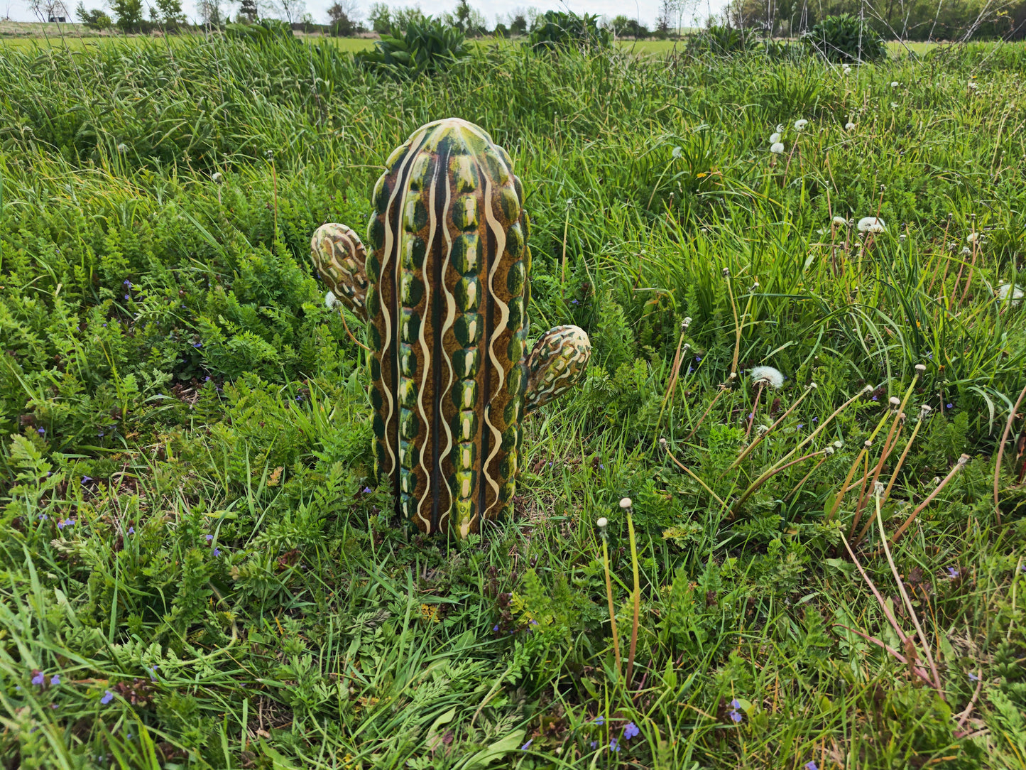 Terracotta Cactus