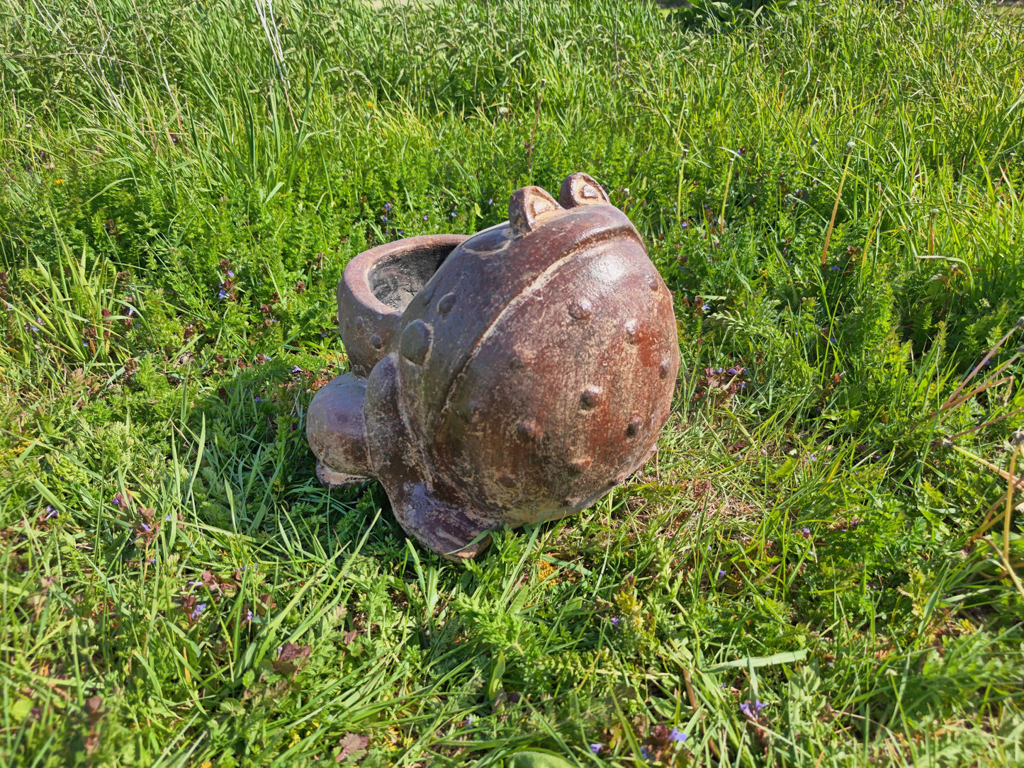 Toad Planter