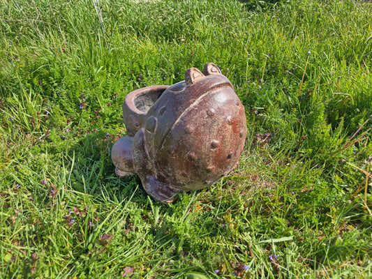 Toad Planter