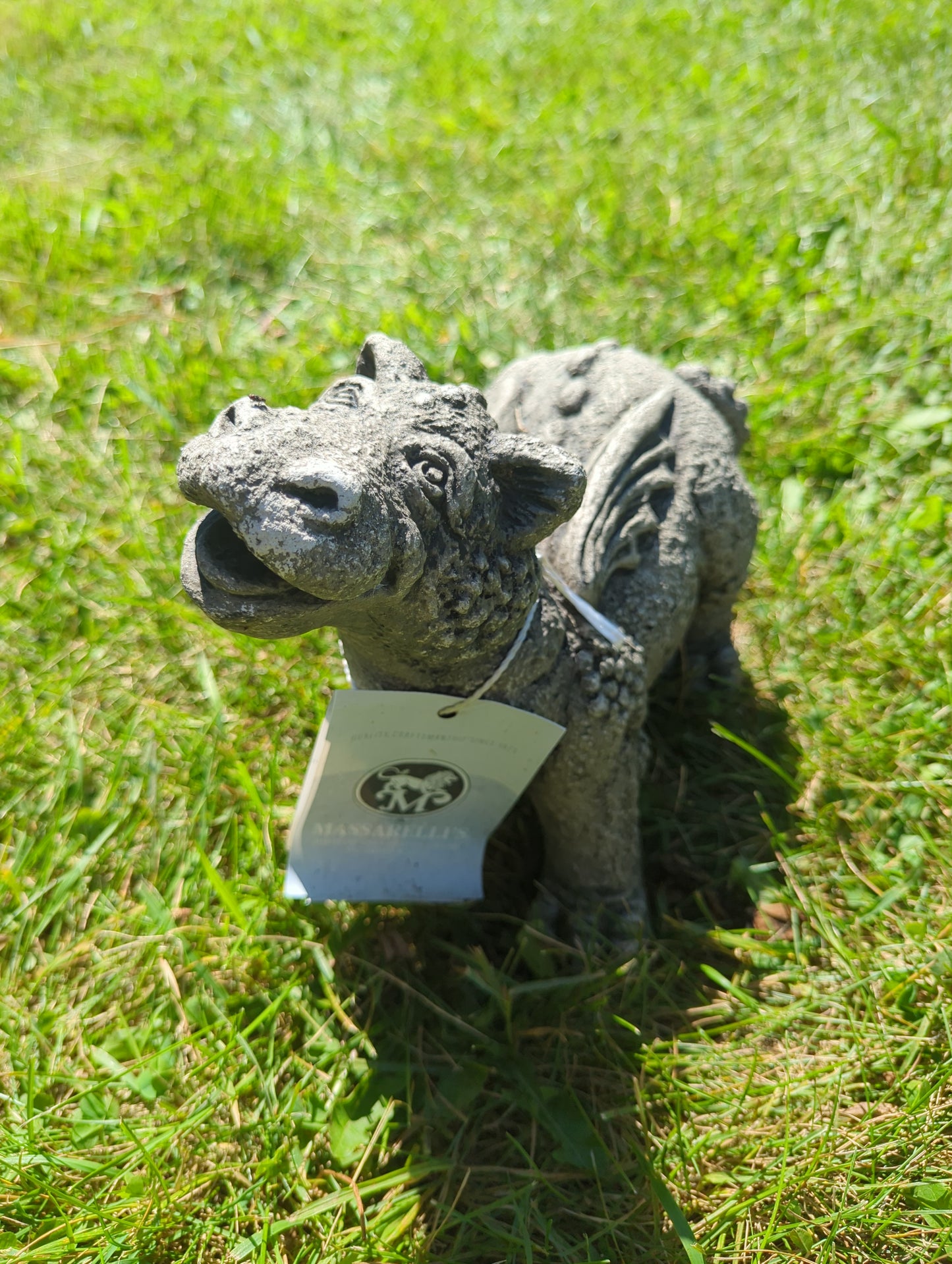 Lil Dragon Greenbank